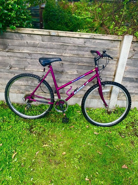 next power climber pink